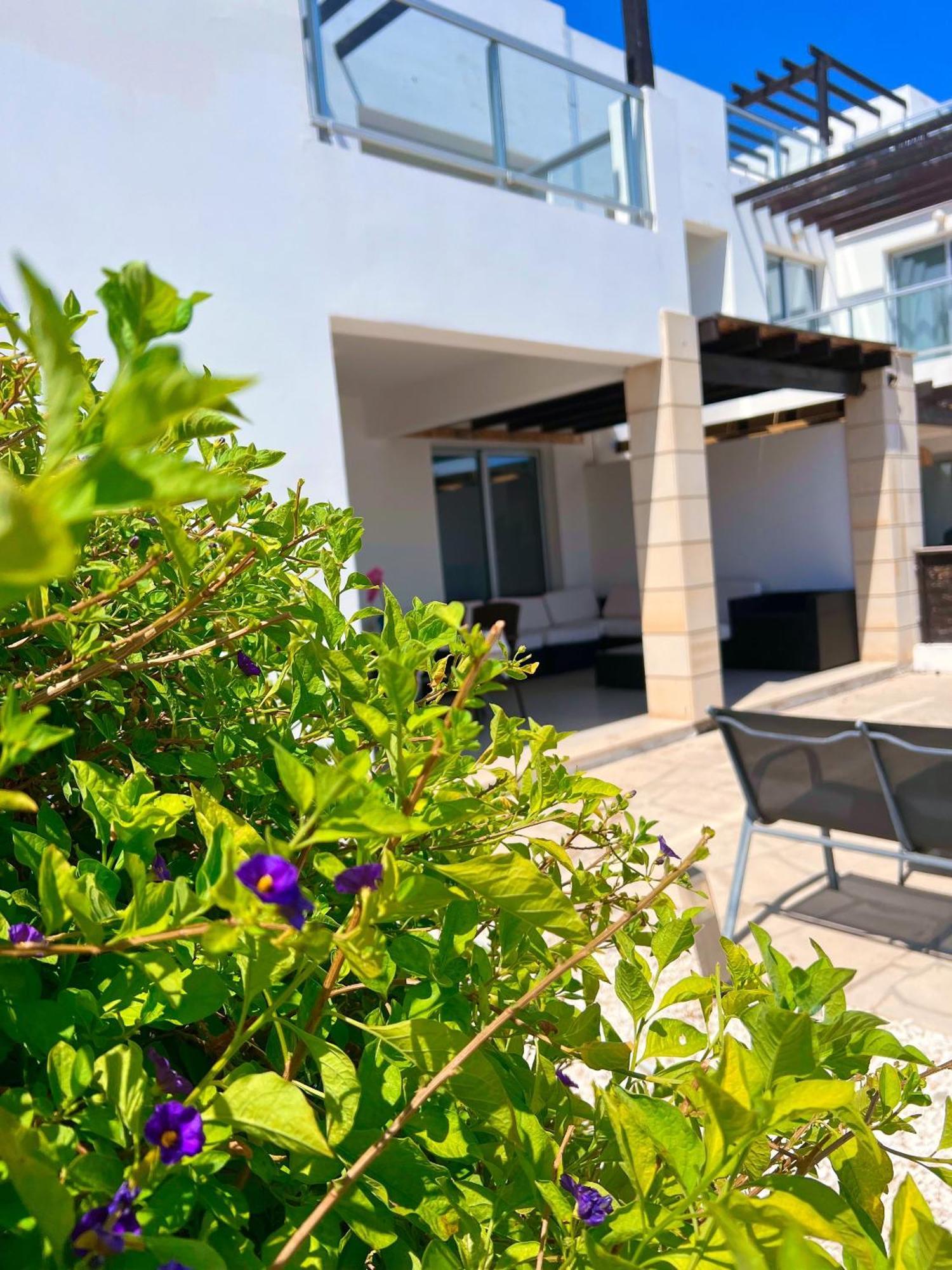 3 Bedroom Seaview Villa Direct In Coral Bay With Pool Exterior foto